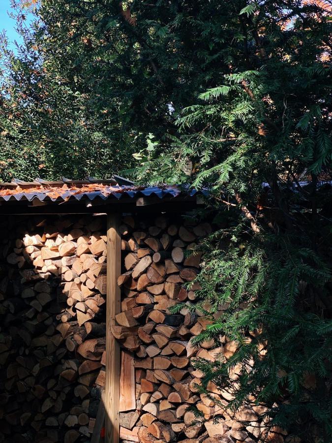 Mimi'S Natuurhuisje Lanaken Eksteriør billede
